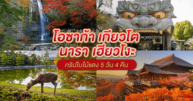 5 วัน 4 คืน โอซาก้า - เกียวโต - นารา - เฮียวโงะ ทริปใบไม้แดงต้องไป