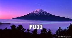 เที่ยว ฟูจิ Mt. Fuji ด้วยตัวเอง