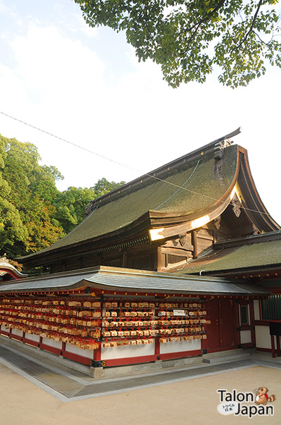 บรรยากาศภายในศาลเจ้าดาไซฟุ Dazaifu tenmangu shrine