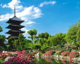 วัดโทจิ-Toji-Temple-Kyoto