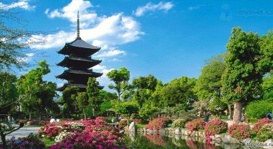 วัดโทจิ-Toji-Temple-Kyoto