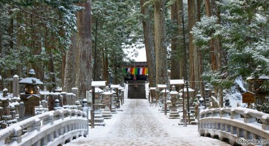 วัดโอคุโนอิน---Okunoin-Temple