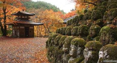 วัดโอตากิ-เนนบุตสึจิ-Otagi-Nenbutsuji-Temple