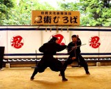 หมู่บ้านนินจาอิงะ-Iga-Ninja-Museum