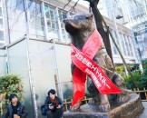 ฮาจิโกะ สุนัขผู้ซื่อสัตว์ - Hachiko Statue