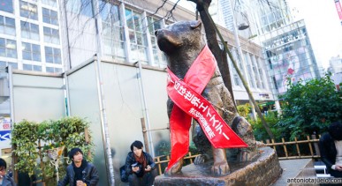 ฮาจิโกะ สุนัขผู้ซื่อสัตว์ - Hachiko Statue