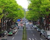แหล่งช้อปปิ้งโอโมเตะซันโดะ - Omotesando