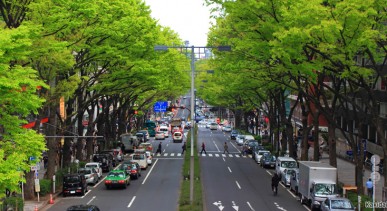 แหล่งช้อปปิ้งโอโมเตะซันโดะ - Omotesando