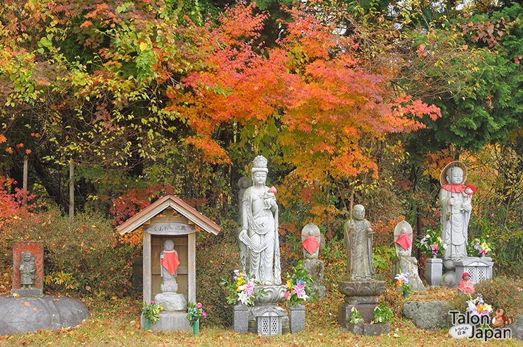 บรรยากาศใบไม้เปลี่ยนสีที่วัดคนโกโฮจิ Kongōhō-ji Temple
