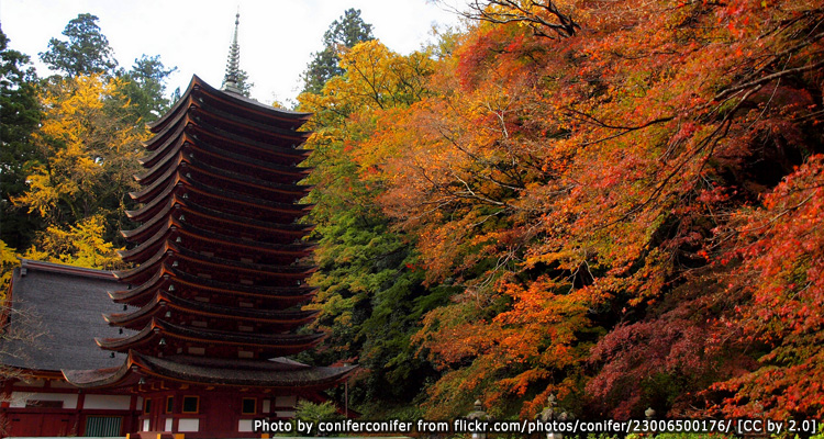 Tanzan Shrine