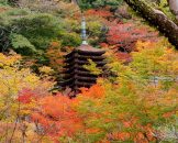 Tanzan Shrine