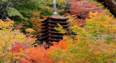 Tanzan Shrine