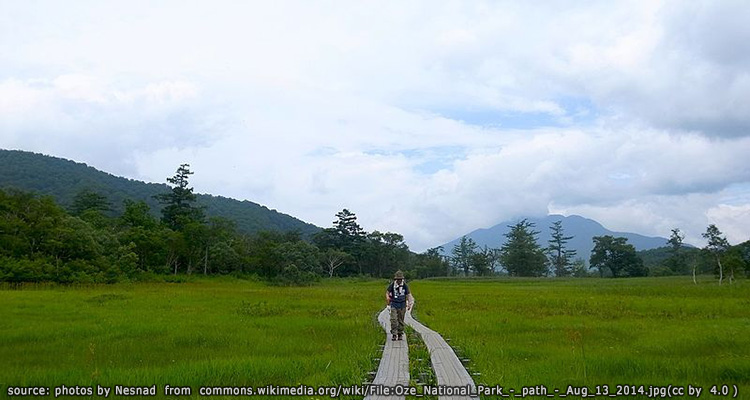 อุทยานแห่งชาติโอเซ