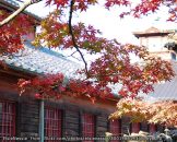 หมู่บ้านเมจิ หรือพิพิธภัณฑ์เมจิมูระ