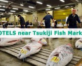 Tsukiji Fish Market Hotel