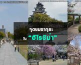 จุดชมซากุระในฮิโรชิม่า Hiroshima Hanami Spots