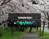 จุดชมซากุระในฟูกุโอกะ Fukuoka Hanami Spots