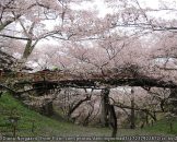 สวนสาธารณะซากปราสาททาคาโตะ Takato Castle Ruins Park