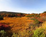 ภูเขาฮักโกดะ Mount Hakkoda