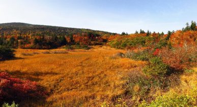 ภูเขาฮักโกดะ Mount Hakkoda