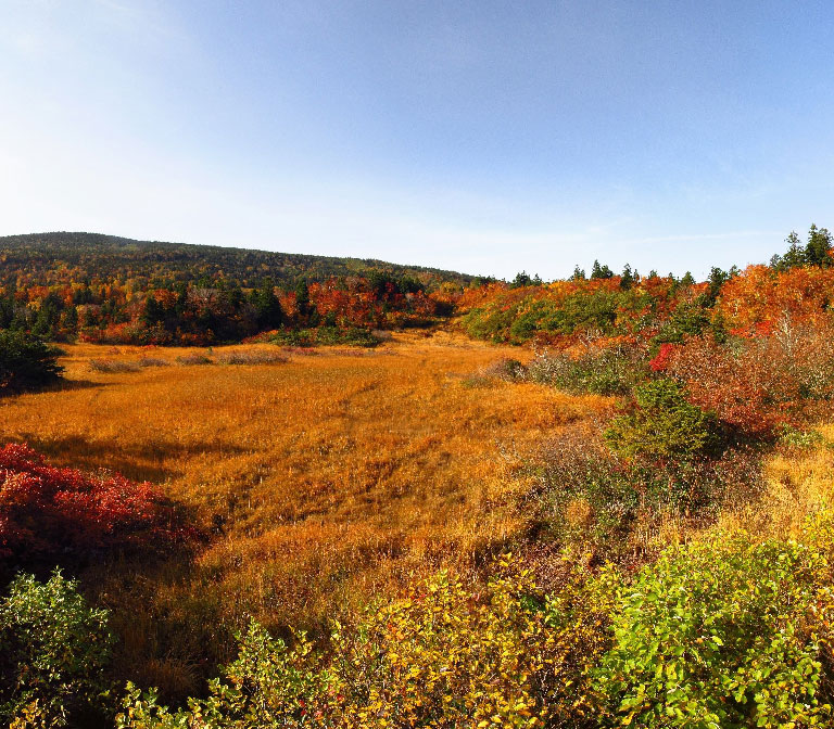 ภูเขาฮักโกดะ Mount Hakkoda