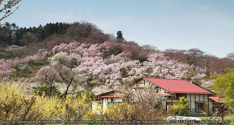 สวนฮานามิยาม่า 