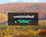 จุดชมใบไม้เปลี่ยนสีในโทโฮคุ Tohoku Autumn leaves Spots