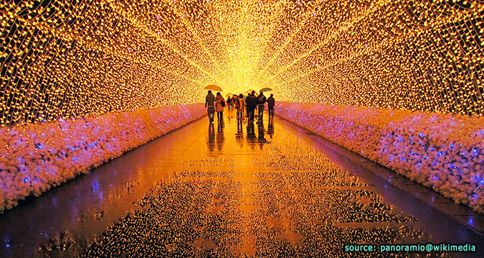 เทศกาลแสงสี Nabana no Sato Winter Illumination ที่นาโงย่า