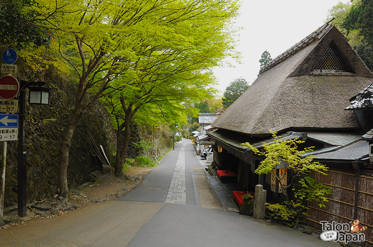 บรรยากาศของถนนโบราณ Saga Toriimoto ที่เดินจากวัดโอตากิไปป่าไผ่