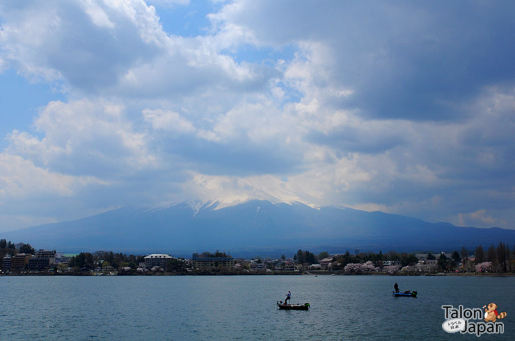 คนญี่ปุ่นลอยเรือตกปลากันที่ทะเลสาปคาวากูชิโกะ
