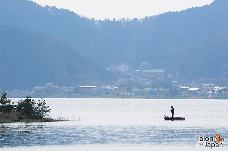 คนตกปลาที่ทะเลสาปคาวากูชิโกะ
