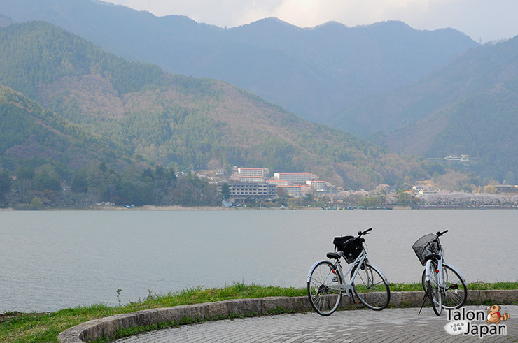 จักรยานคุณป้าที่เช่ามาปั่นเล่นรอบทะเลสาป