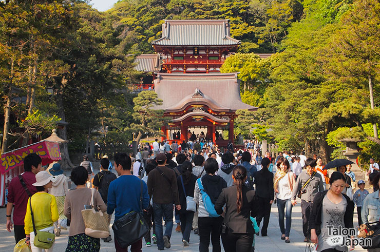 นักท่องเที่ยวมากมายที่ทางเดินสู่ศาลเจ้าทซึรุงะโอะกะ-ฮะจิมังกู