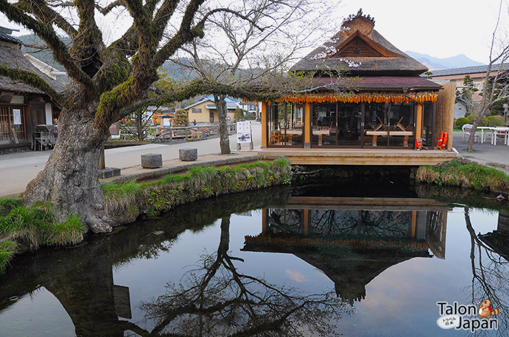 บ่อน้ำใสๆที่หมู่บ้านน้ำศักดิ์สิทธิ์โอชิโนะฮักไก