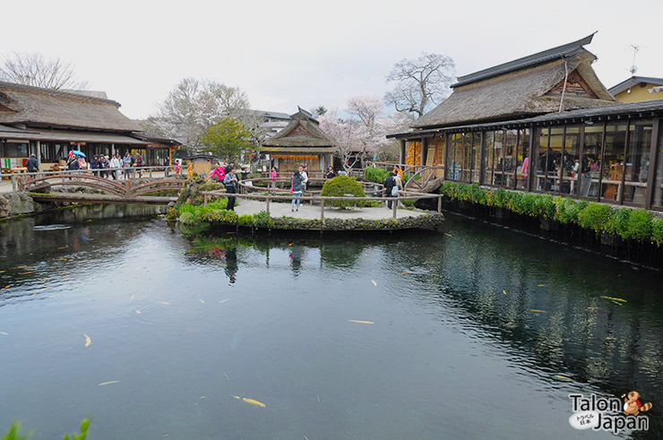 บ่อน้ำใหญ่ที่หมู่บ้านน้ำศักดิ์สิทธิ์โอชิโนะฮักไก