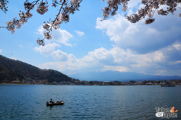 มุมสวยๆของทะเลสาปคาวากูชิโกะ