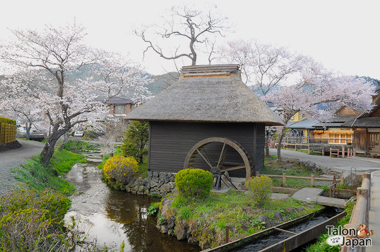 มุมสวยๆของหมู่บ้านน้ำศักดิ์สิทธิ์โอชิโนะฮักไก