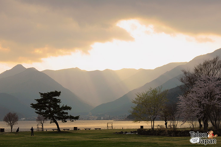 สวนสาธารณะริมทะเลสาปคาวากูชิโกะ