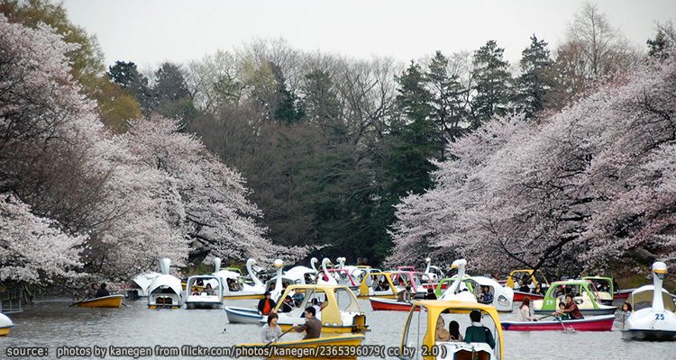 สวนอิโนะคาชิระ