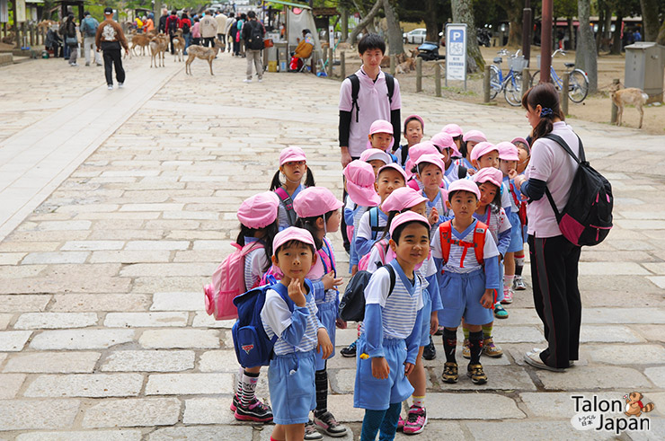 เด็กอนุบาลญี่ปุ่นมาทักศนะศึกษากันที่วัดโทไดจิ