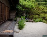 จัดสวนแบบญี่ปุ่นในสมัยโบราณ