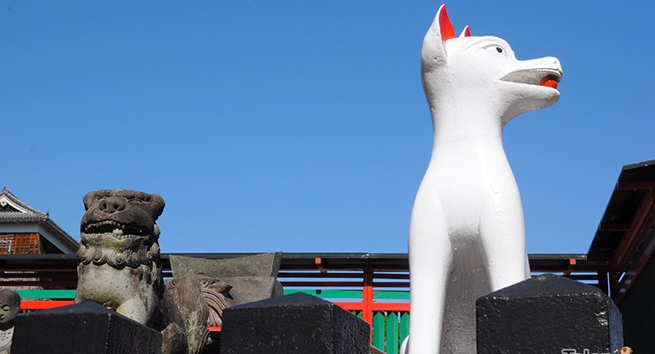 รูปปั้นจิ้งจอกที่ศาลเจ้าคุมาโมโต้อินาริ-Kumamoto-Inari-Shrine