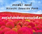 แจกฟรี แผนที่ Hitachi Seaside Park