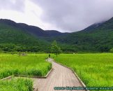 พื้นที่ชุ่มน้ำ ทาเดวะระ Tadewara Wetland