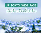 บัตร JR Tokyo Wide Pass