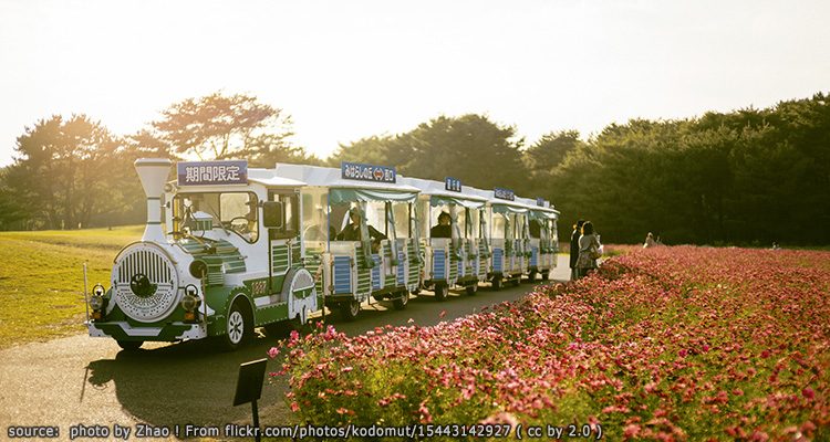 สวนฮิตาชิ ซีไซด์ ปาร์ค