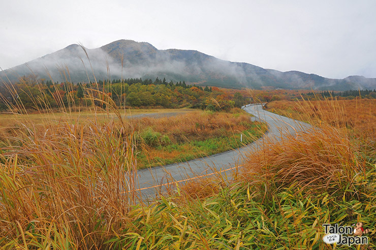 บรรยากาศใบไม้เปลี่ยนสีของถนนสายโรแมนติค Old Oguni Highway