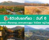 รีวิวขับรถเที่ยวทั่วเกาะคิวชู วันที่ 6 ดูใบไม้แดง ทุ่งดอกหญ้า และเมืองยูฟุอิน