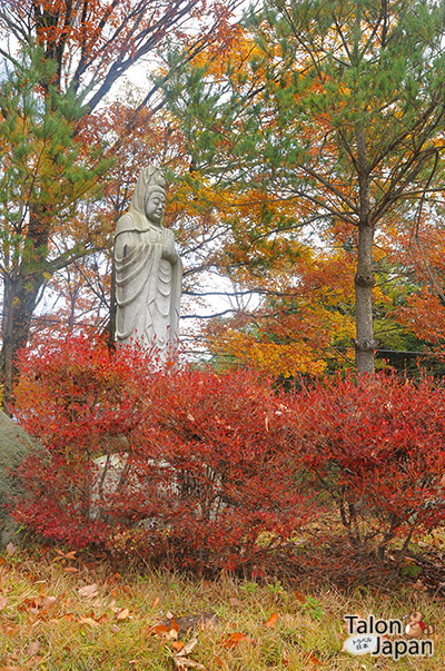 บรรยากาศใบไม้เปลี่ยนสีที่วัดคอนโกโฮจิ Kongōhō-ji Temple