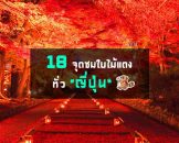 18 จุดชมใบไม้เปลี่ยนสีชื่อดังของญี่ปุ่น